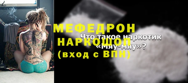 гидра Богородицк