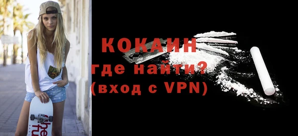 гидра Богородицк