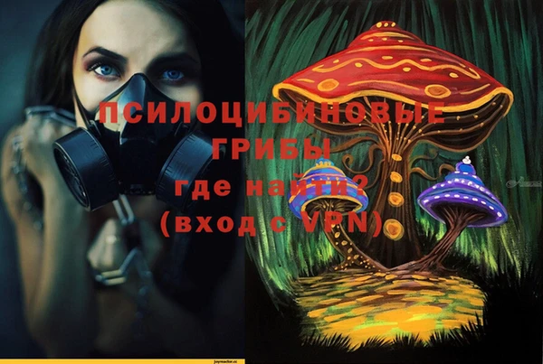 наркотики Богородск