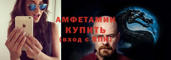 гидра Богородицк