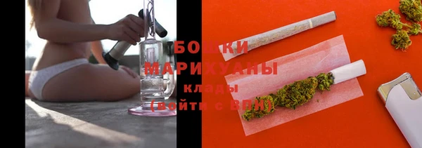 гидра Богородицк