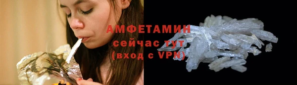 гидра Богородицк