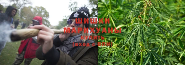 гидра Богородицк