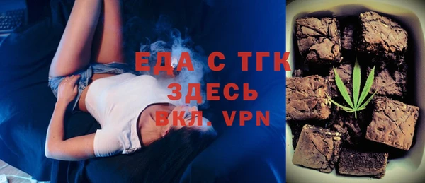 гидра Богородицк