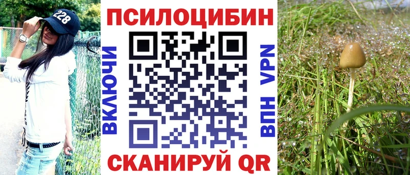 Псилоцибиновые грибы мицелий  цена наркотик  Онега 