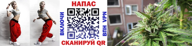 Канабис ГИДРОПОН  ОМГ ОМГ ссылка  Онега 